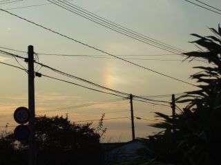 20081122_4.jpg
