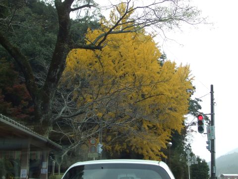 2010111301.jpg