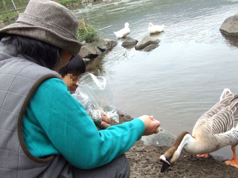 2010111303.jpg