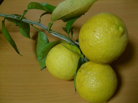 2010111310.jpg