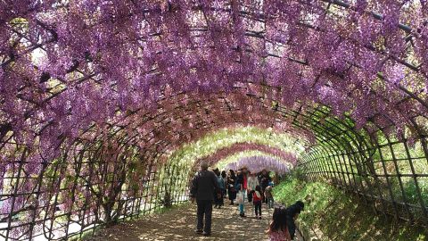 20120505_1.jpg