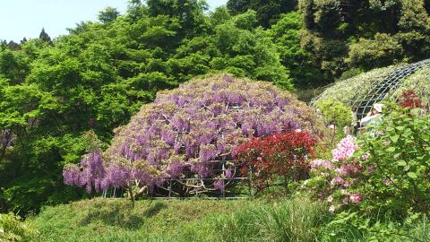 20120505_2.jpg