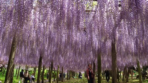 20120505_3.jpg