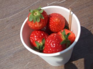 DSCF2062.JPG