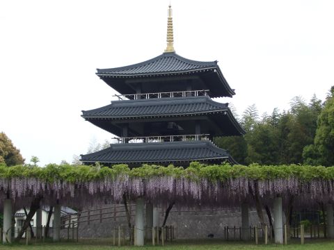 DSCF2837.jpg
