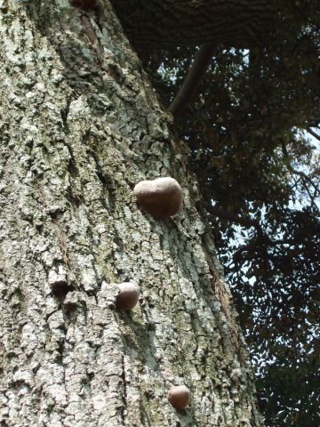 DSCF2840.jpg