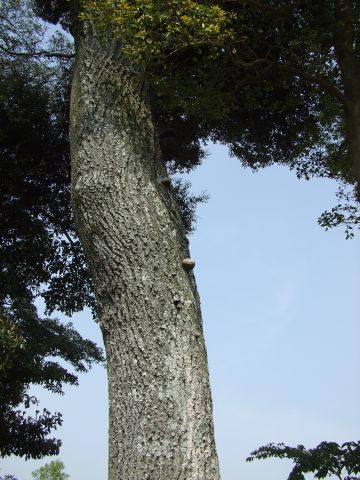 DSCF2842.jpg