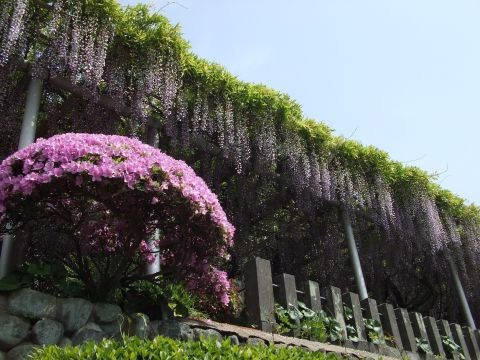 DSCF2867.jpg