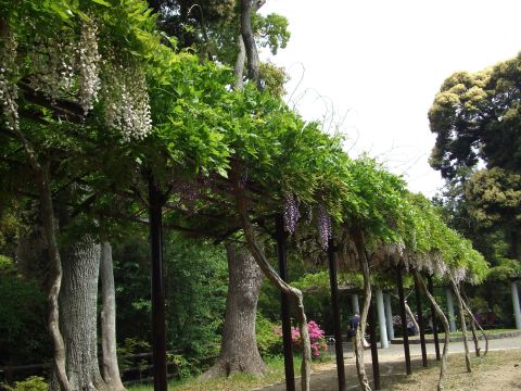 DSCF2869.jpg