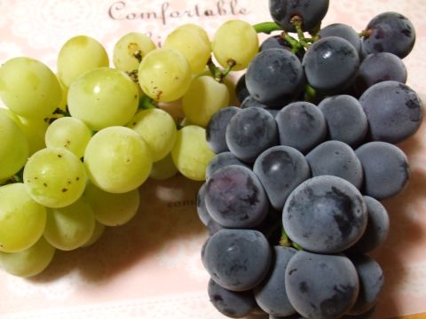 DSCF2963.JPG