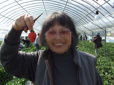 DSCF3278.jpg