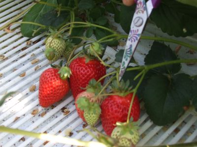 DSCF3280.jpg