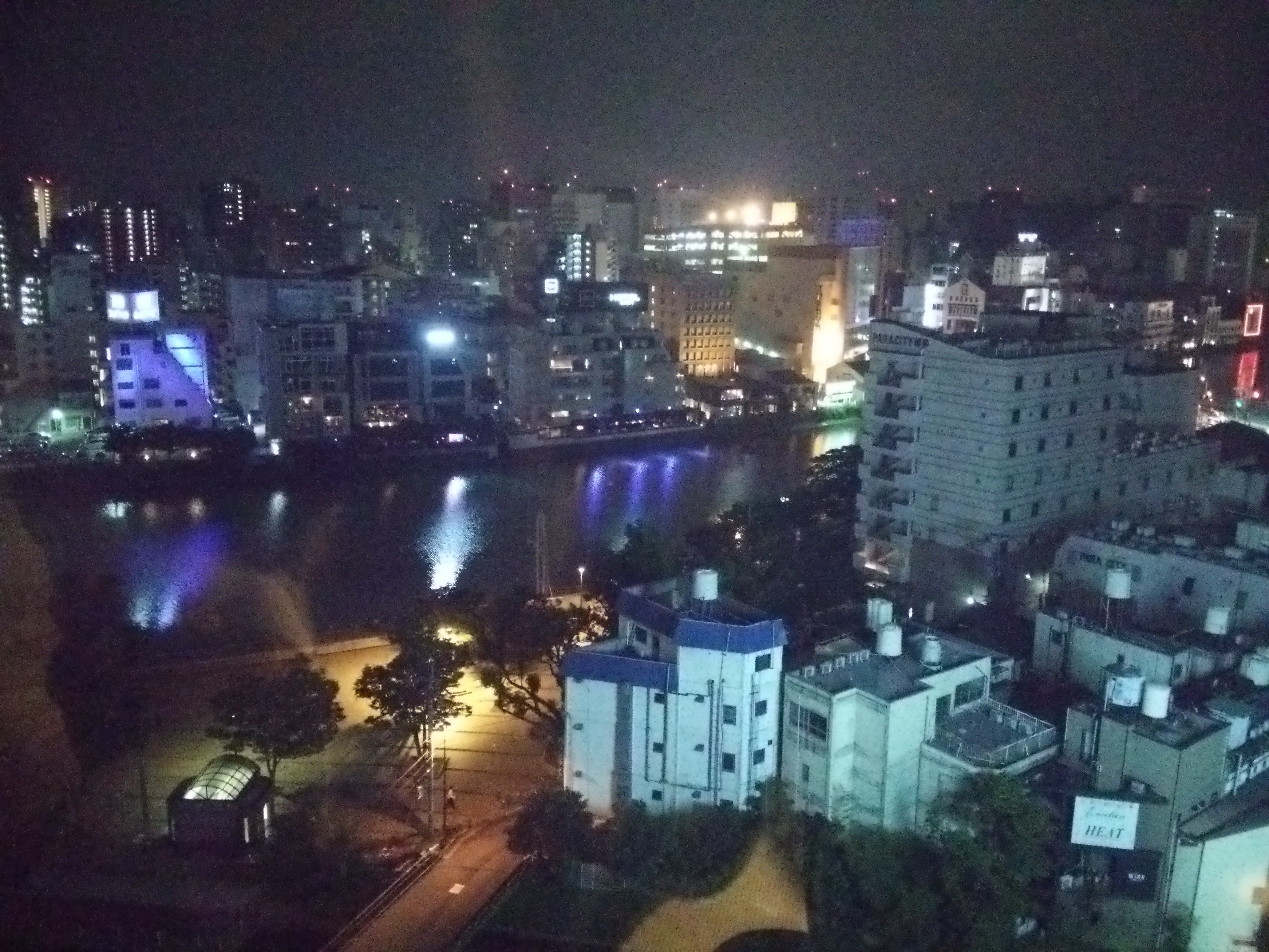 DSC_0100.JPG