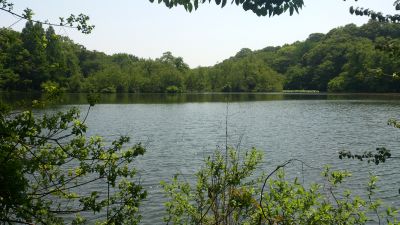 DSC_0494.jpg