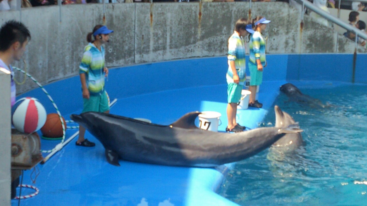 IMG_20130923_071300.jpg