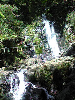 Image339.jpg
