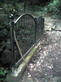 Image595.jpg